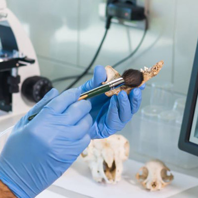 Archaeologist working in a natural research lab, examining samples and equipment in a scientific setting.