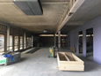 Business building development