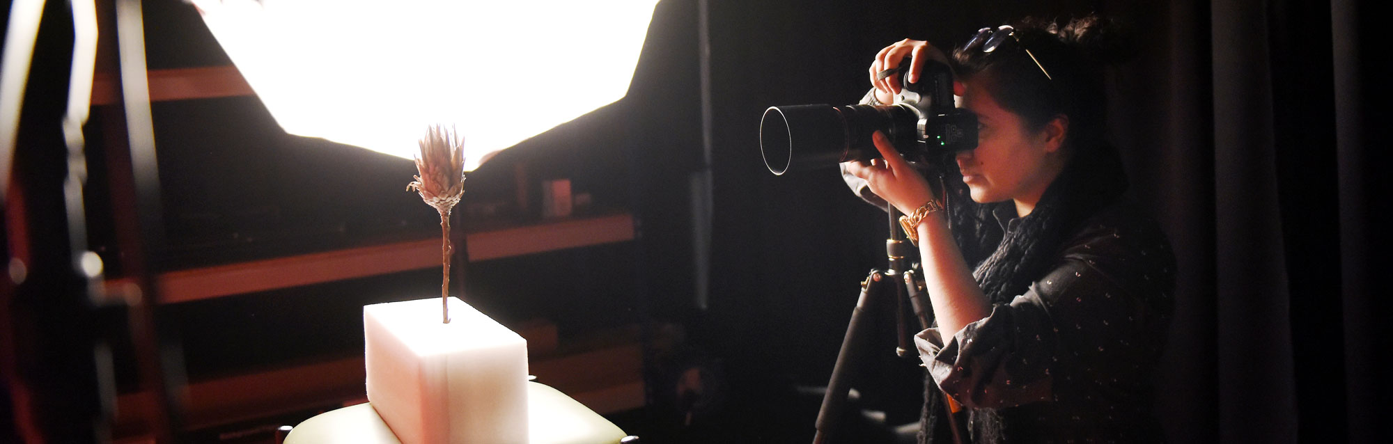 Photography (Online)