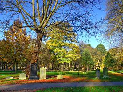 Linthorpe Cemetery, photographed on a sunny day.  Photo courtesy of FOLCNR.. Link to Do Good, Feel Good - Friends of Linthorpe Cemetery and Nature Reserve volunteering day, Wed 16 July.