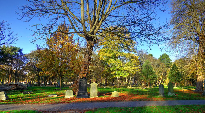 Linthorpe Cemetery, photographed on a sunny day.  Photo courtesy of FOLCNR.