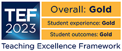 TEF Gold 2023 - Teaching Excellence Framework award