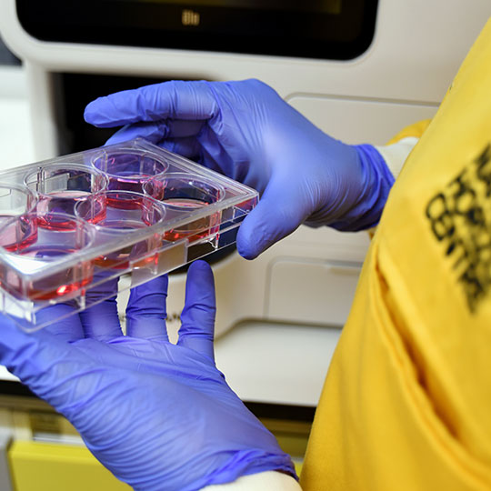 NHC staff in labs