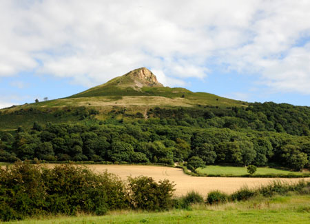 View of Roseberry Topping hill