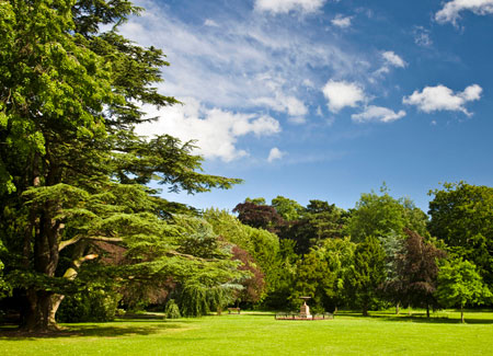 View of Stewart Park with trees and open green space