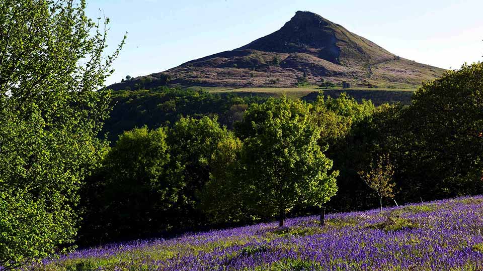 View of Roseberry Topping near Middlesbrough in the Tees Valley countryside