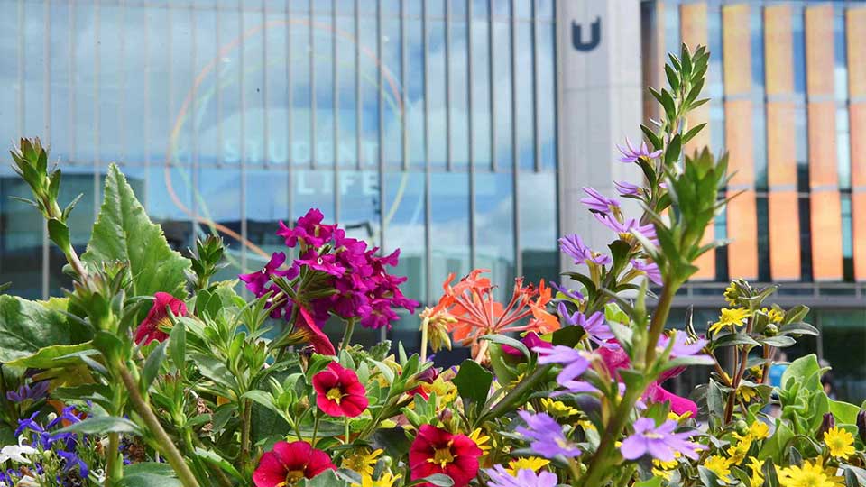 Flowers in front of the Student Life Building at Teesside University campus